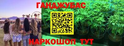 прущие крисы Нарткала