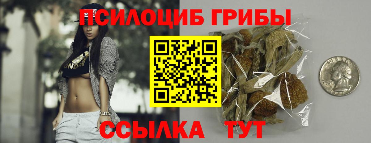 Галлюциногенные грибы GOLDEN TEACHER  Вход с VPN  где найти наркотики  Ртищево  Псилоцибиновые грибы Psilocybine cubensis 